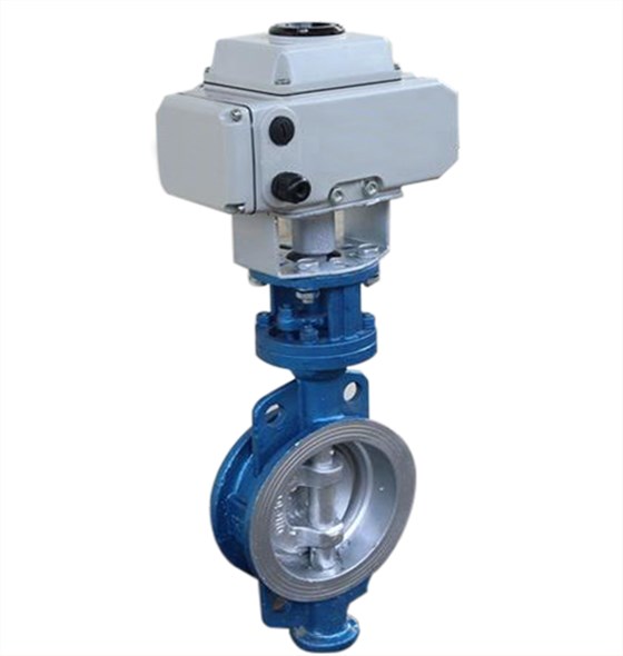 電動(dòng)對夾蝶閥