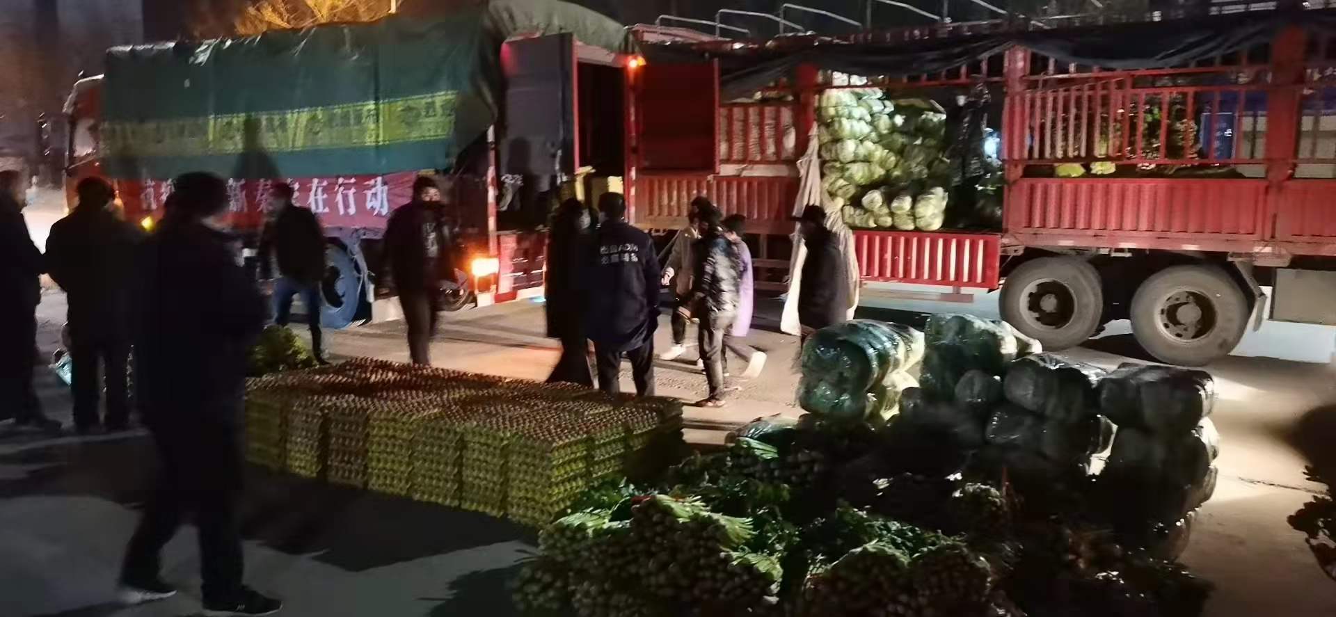 感謝黨和政府對(duì)我公司送來(lái)新鮮蔬菜，愿，國(guó)無(wú)恙，山河永固，加油，西安！